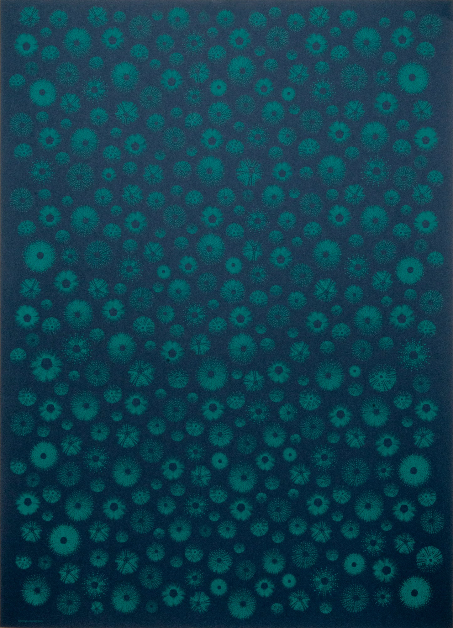 Gift wrap all seasons - Sea urchin Dark blue