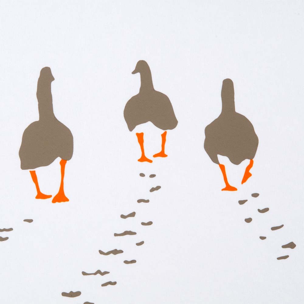 Animal Greeting Card - Geese